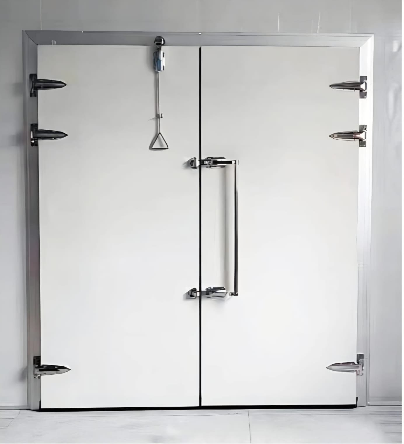 Walk-in cold room doors with stainless steel hardware